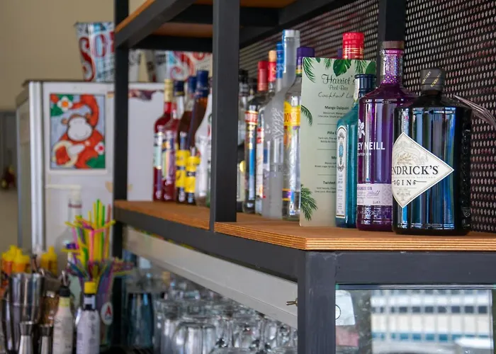 公寓式酒店 Harriets 3*